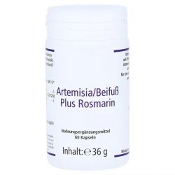 Артемизинин 150 мг капс. 60шт в Липецке и области фото