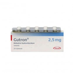 Гутрон таблетки 2,5 мг. №20 в Липецке и области фото